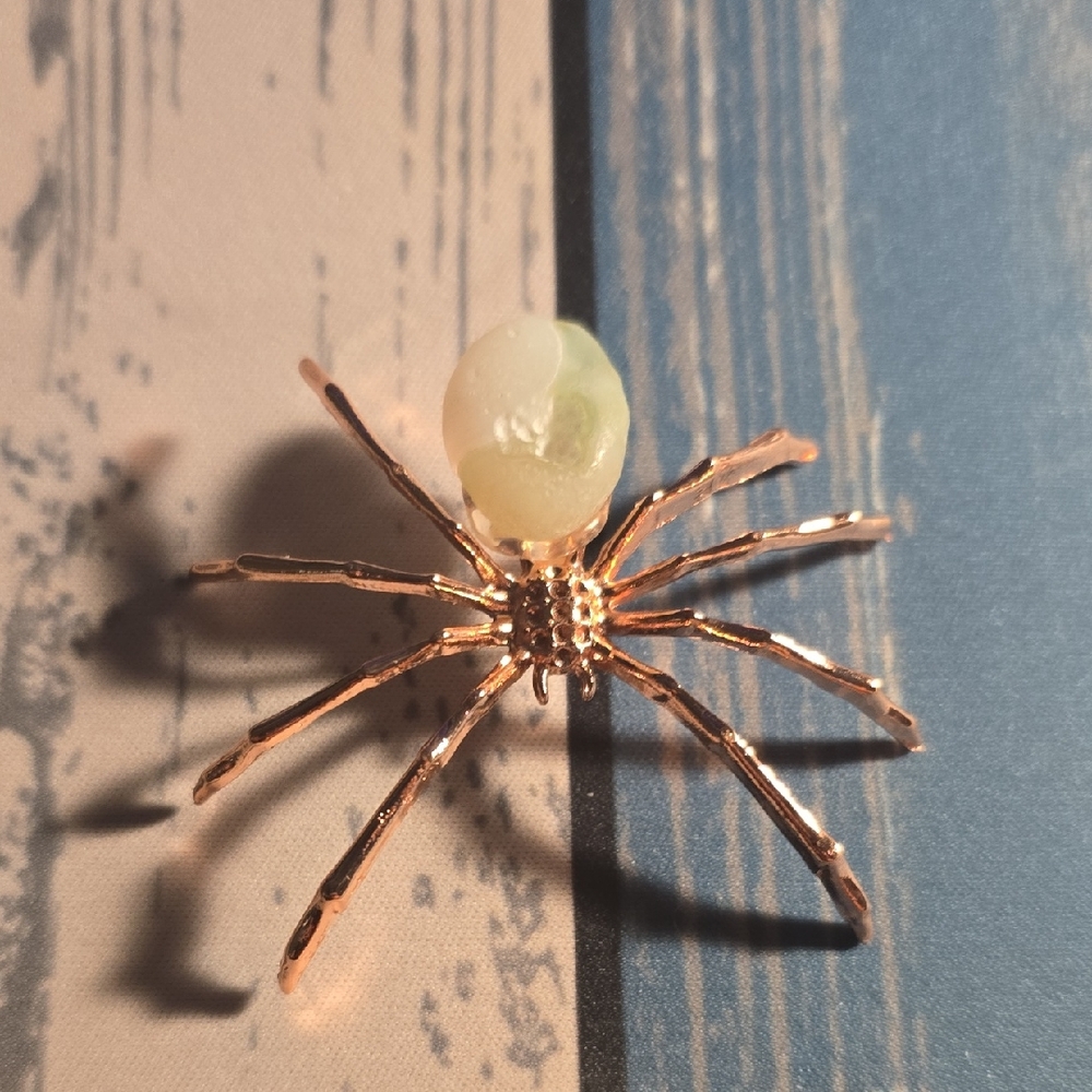 Spider With Gobi Stone
